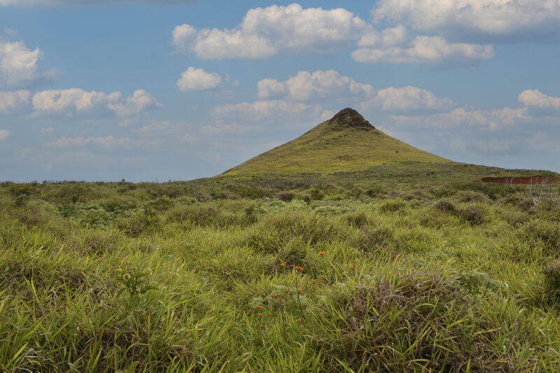 Easter Island Low Res 2225