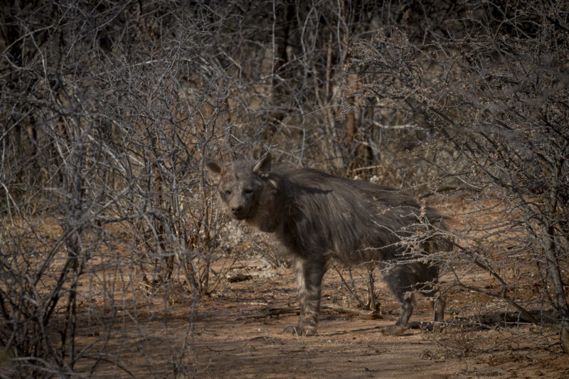 Travel Namibie 416